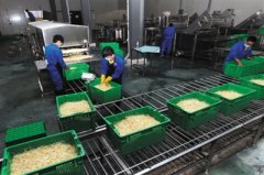 三部門(mén)：生產(chǎn)豆芽禁用“無(wú)根水” 安全性尚無(wú)定論